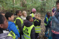 L1-week-van-het-bos-oktober-2024-001