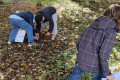 L6-week-van-het-bos-oktober-2024-005