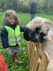 mobiele-kinderboerderij-8-okt-2024-16