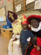 Sint-en-Piet-2024-21